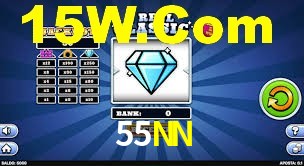 Premium Interface 55NN